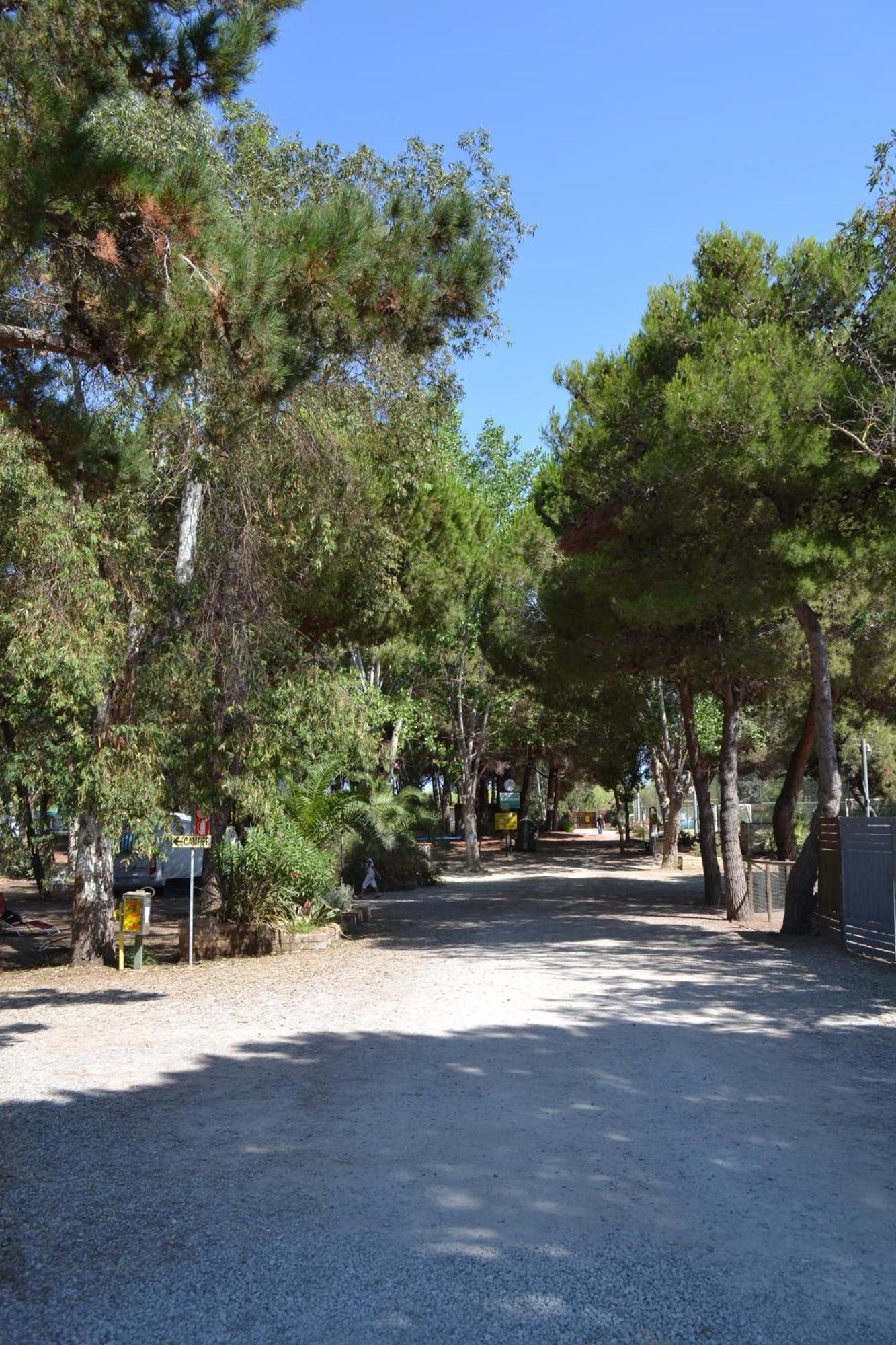 Giannella Camping Orbetello Dış mekan fotoğraf